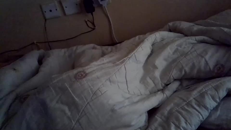 petitehunny Webcam Chat June 25, 2026