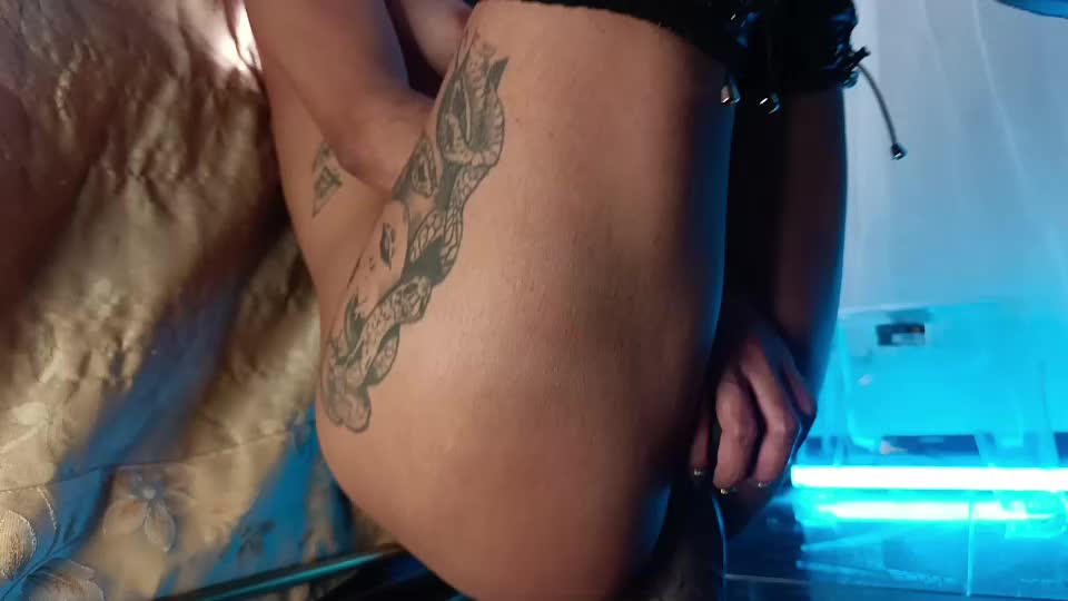 batmansfavoritewife Webcam Chat June 28, 2026