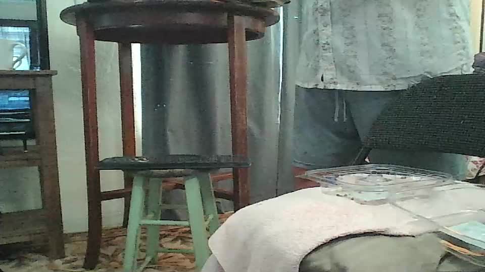 tomcatsawyer Webcam Chat June 27, 2026