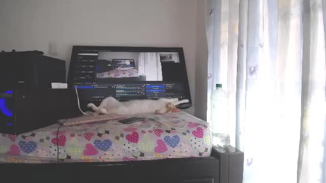 eolicasextwo Webcam Chat June 16, 2026