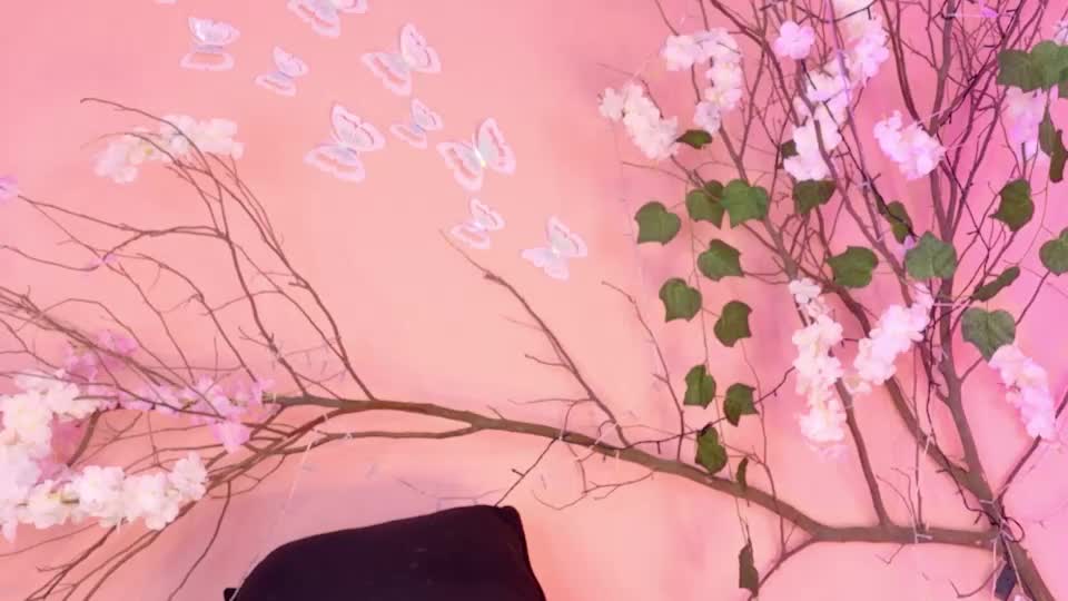 charlotte_love10 Webcam Chat June 28, 2026