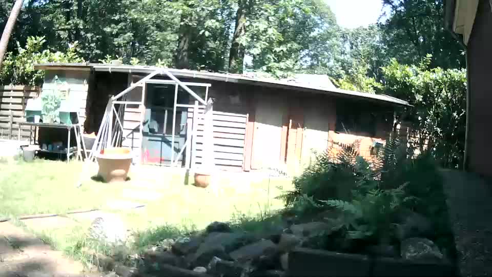 woodwurm Webcam Chat June 20, 2026