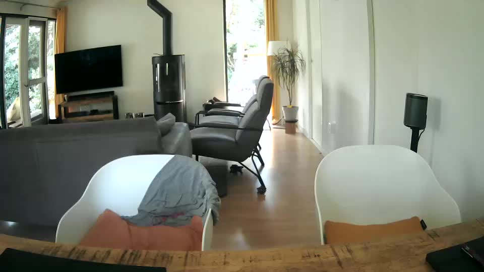 woodwurm Webcam Chat June 20, 2026