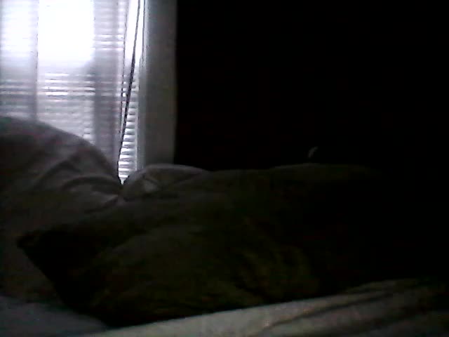 callmeagoodgirlplease Webcam Chat July 4, 2026