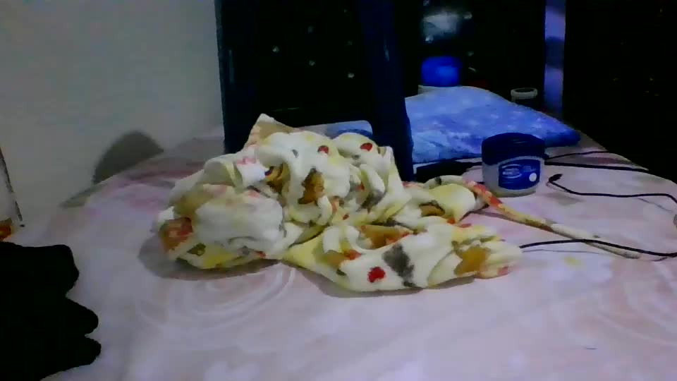 wildflowr Webcam Chat July 5, 2026