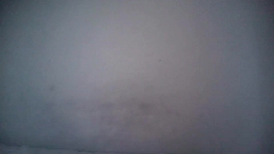 alicexx578748 Webcam Chat July 8, 2026