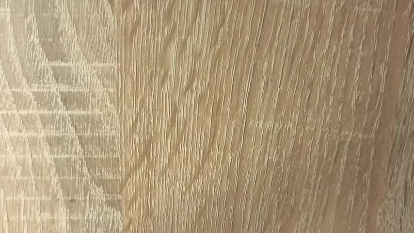 NoFace_Model Webcam Chat July 11, 2026