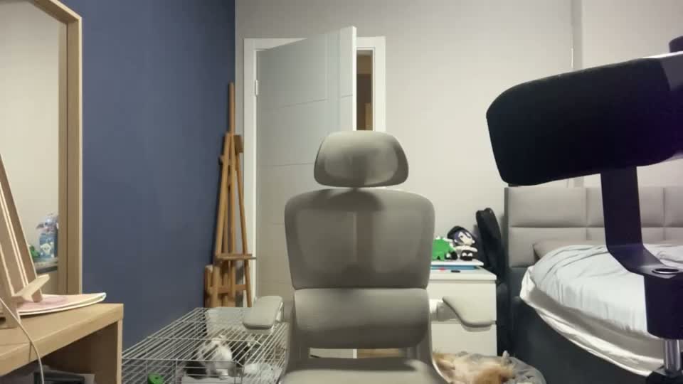 peepapa Webcam Chat July 12, 2026