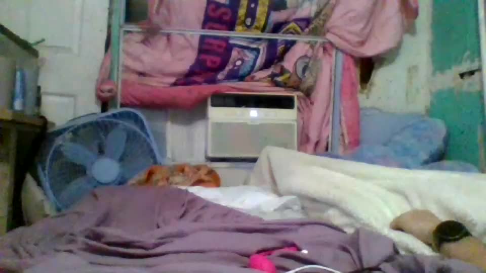 jessicarabbits4 Webcam Chat July 12, 2026