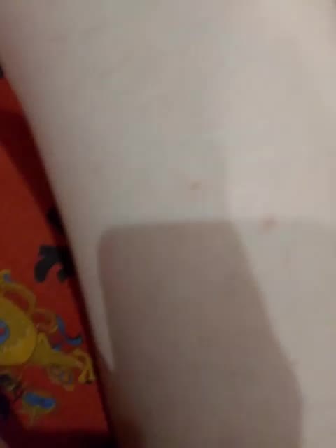 KisssKaaa-Di Webcam Chat July 12, 2026
