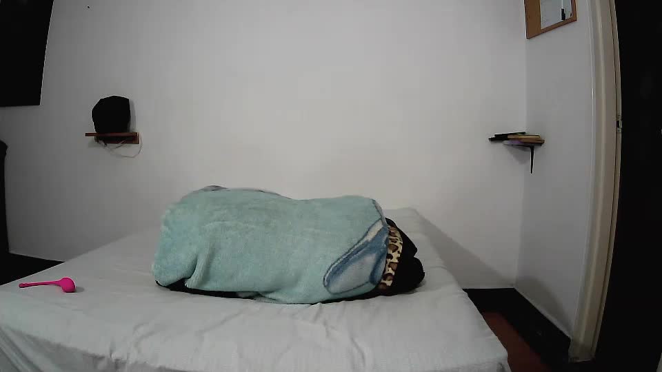 soybeedle Webcam Chat July 14, 2026