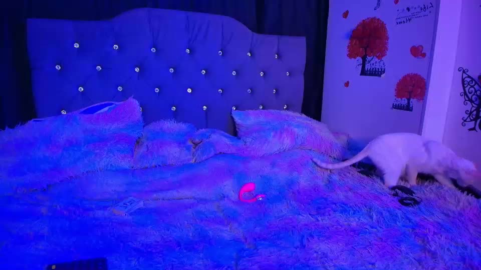 frey_dominik18 Webcam Chat July 14, 2026
