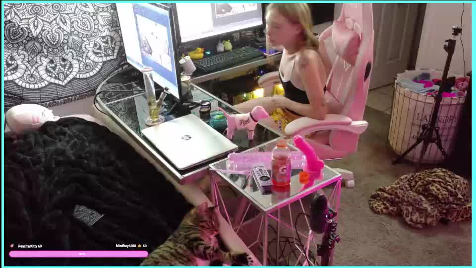obeythebrat Webcam Chat July 15, 2026