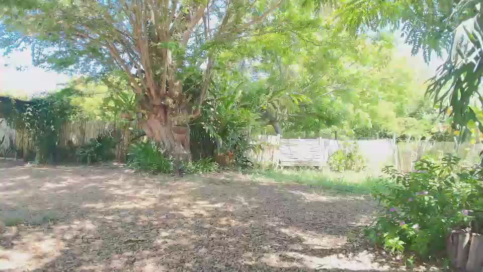 paoguerrax354 Webcam Chat July 15, 2026