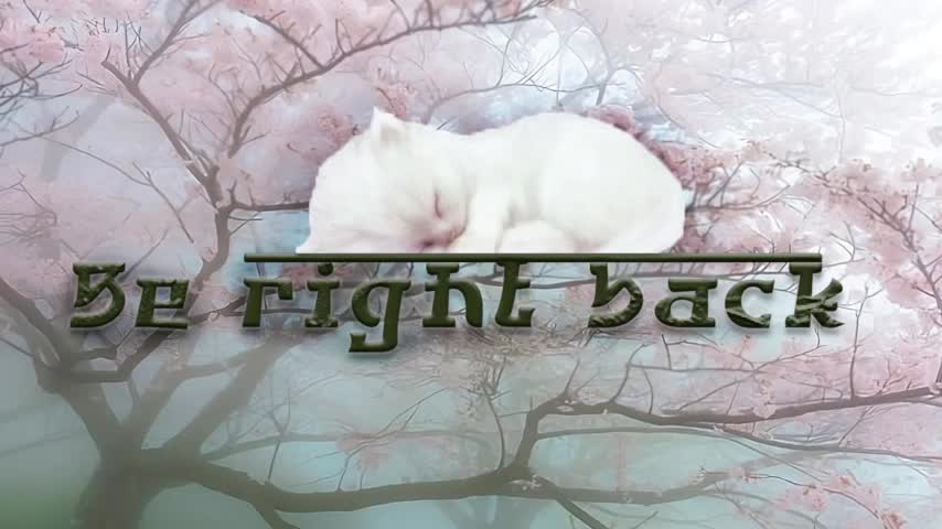 Electro_doll Webcam Chat July 16, 2026