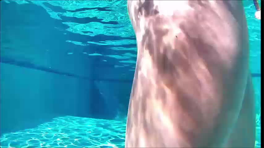 Myliss_ Webcam Chat July 17, 2026