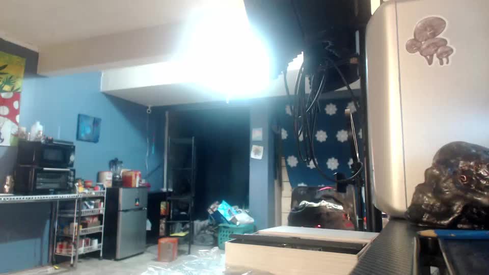 beautyxbeast Webcam Chat July 17, 2026