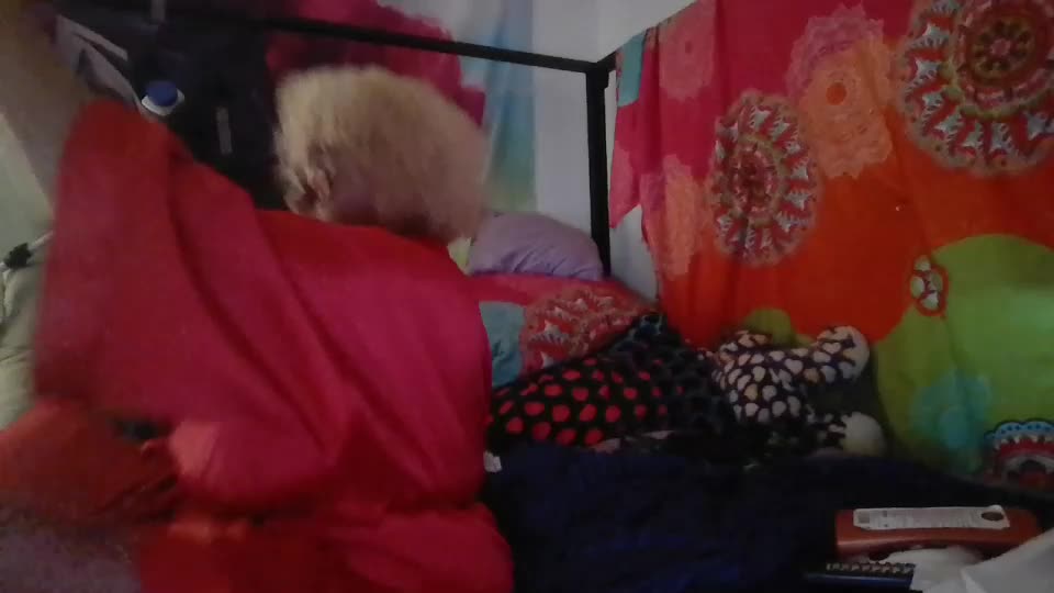 ebonydezire00 Webcam Chat July 19, 2026