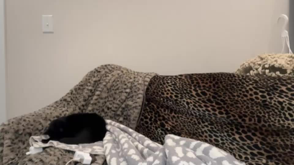 caseyyyhere Webcam Chat July 23, 2026
