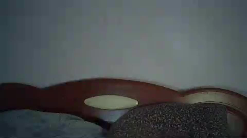 eveliina_shy Webcam Chat July 25, 2026