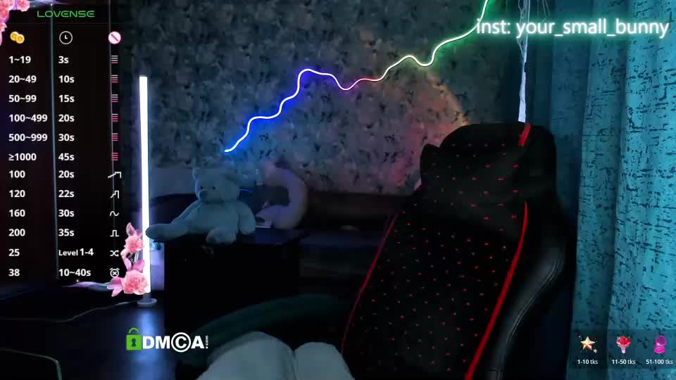 your_small_bunny Webcam Chat July 26, 2026