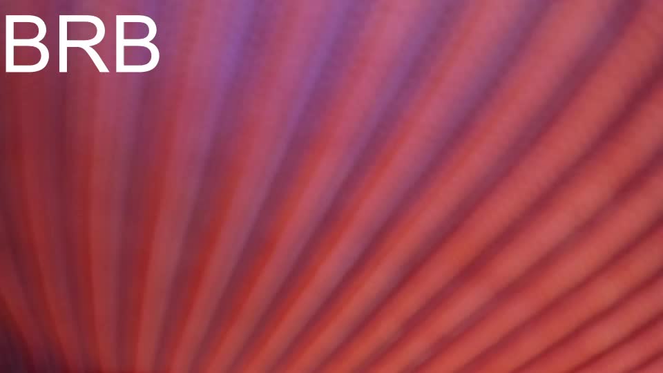 _kimtorres_1 Webcam Chat July 26, 2026