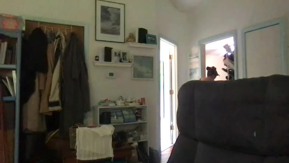 clarnbear Webcam Chat July 27, 2026