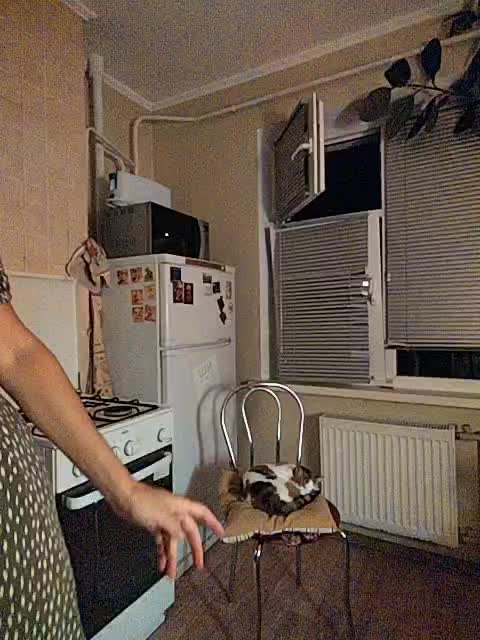 betruetoyourheart Webcam Chat July 28, 2026