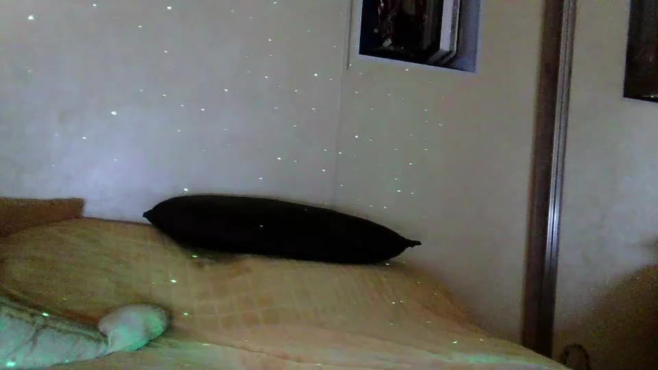 masakodownen Webcam Chat July 29, 2026
