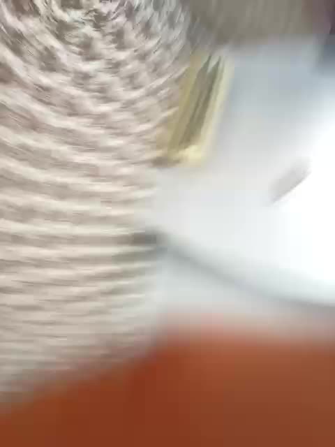 Meat_girl_Skeleton_man Webcam Chat July 30, 2026