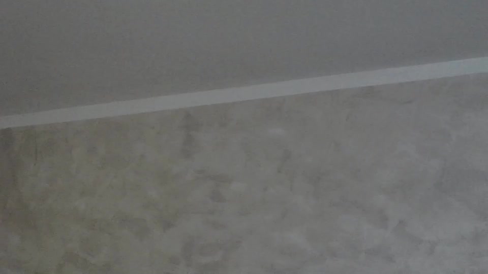 meganblazex Webcam Chat August 10, 2026