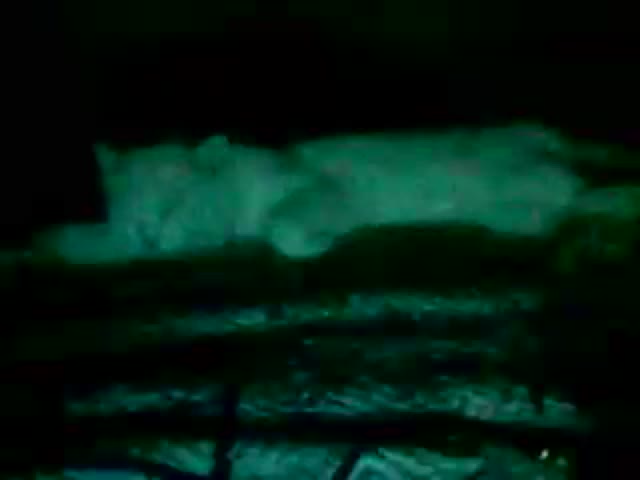 miamooreh Webcam Chat August 10, 2026