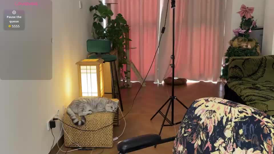 liunana Webcam Chat August 11, 2026