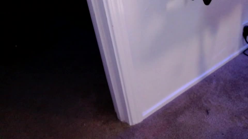 flanneldong Webcam Chat August 12, 2026