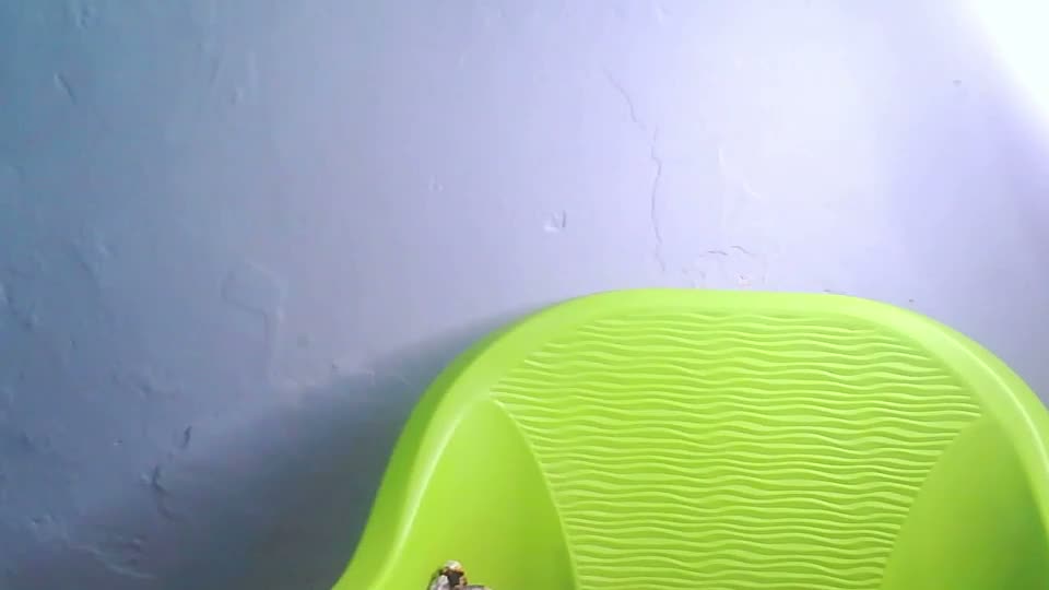 cherryxpussy Webcam Chat August 12, 2026