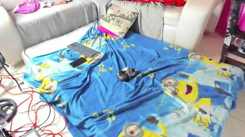 cloe_meliodas_couplex Webcam Chat August 12, 2026