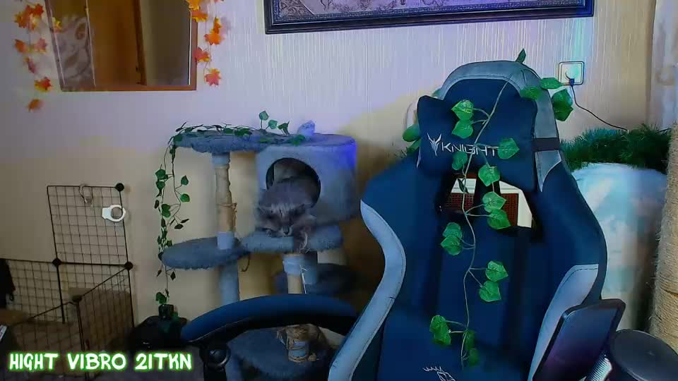 trickykitsune Webcam Chat August 16, 2026