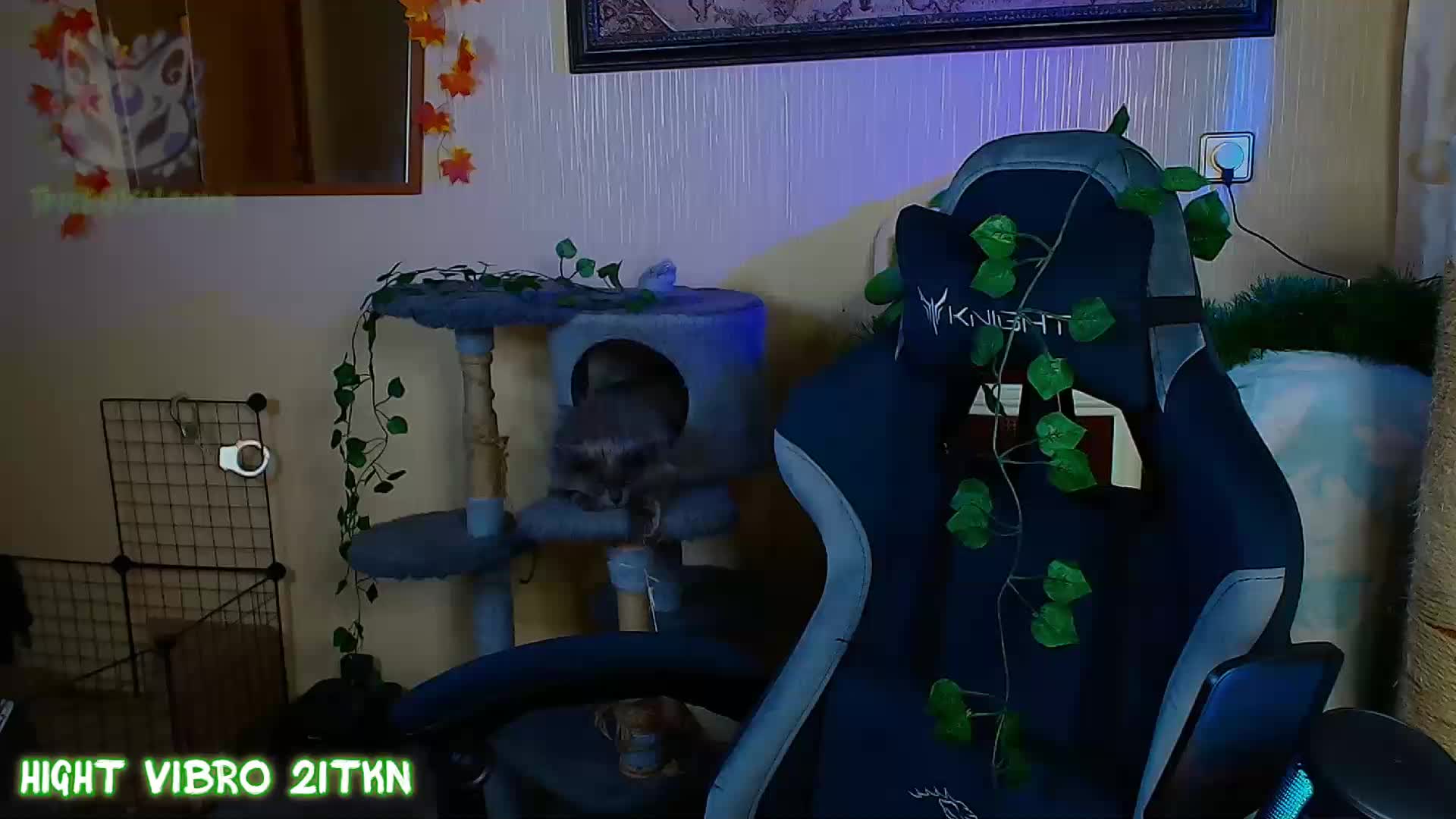 Tricky_Kitsune Webcam Chat August 16, 2026
