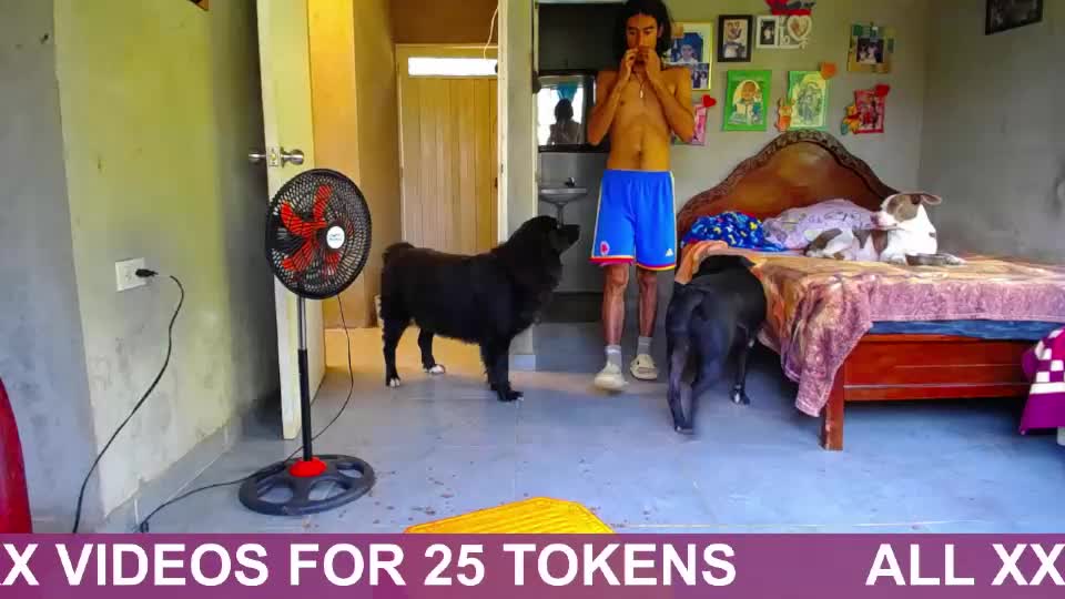 blackpanter_13 Webcam Chat August 17, 2026