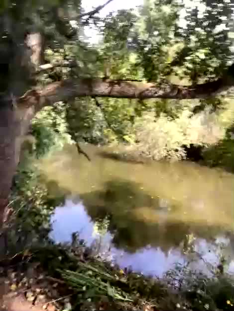 ruma_vibe Webcam Chat August 21, 2026