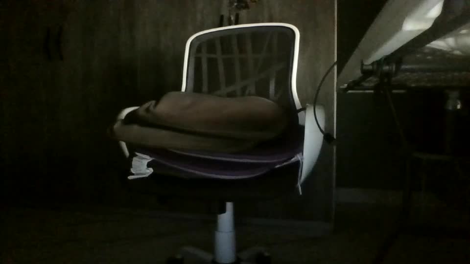 koto420 Webcam Chat August 22, 2026