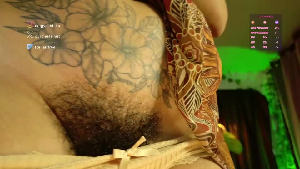 stellart_ Webcam Chat August 27, 2026