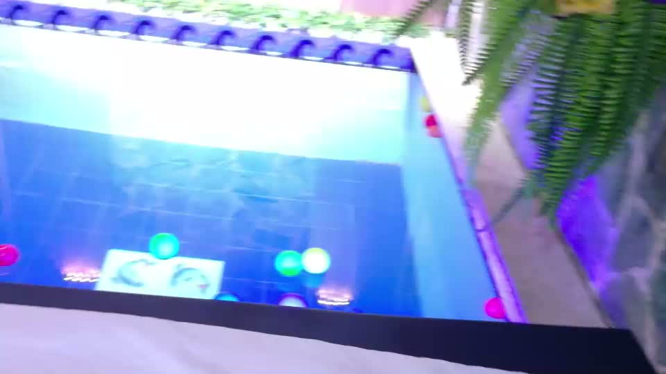 vega_sara Webcam Chat August 27, 2026