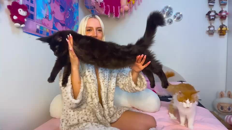 riababe Webcam Chat September 1, 2026
