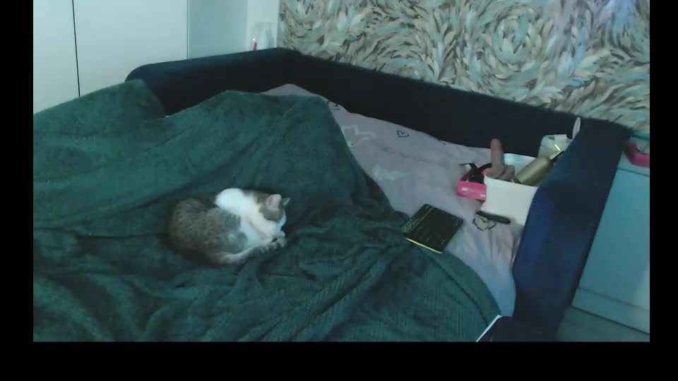 annabellecaramel Webcam Chat September 5, 2026
