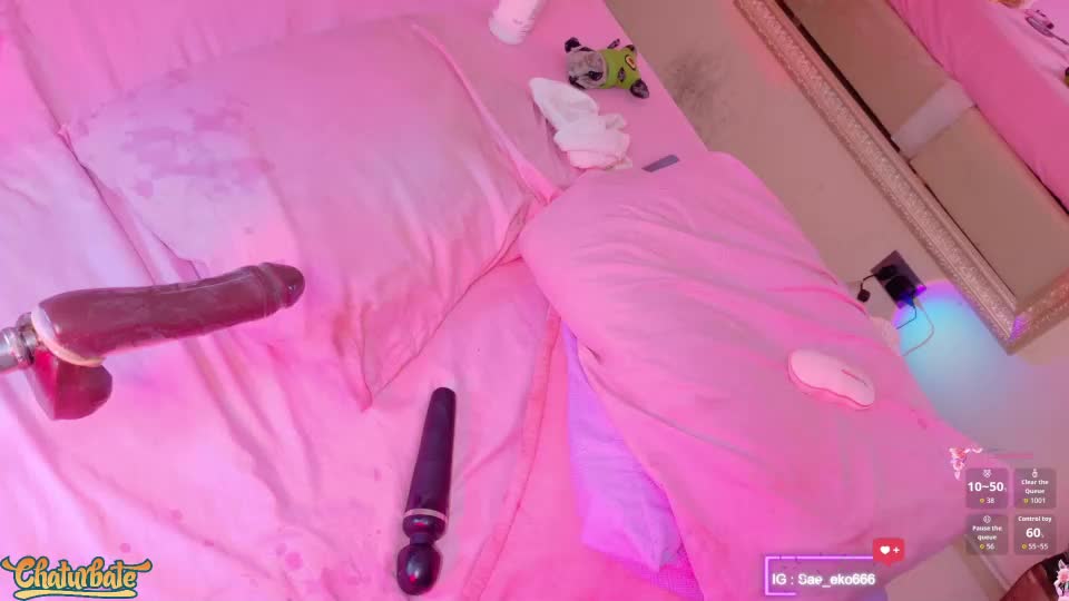 saekohofman Webcam Chat September 7, 2026
