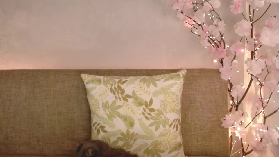 haru_blossom Webcam Chat September 7, 2026