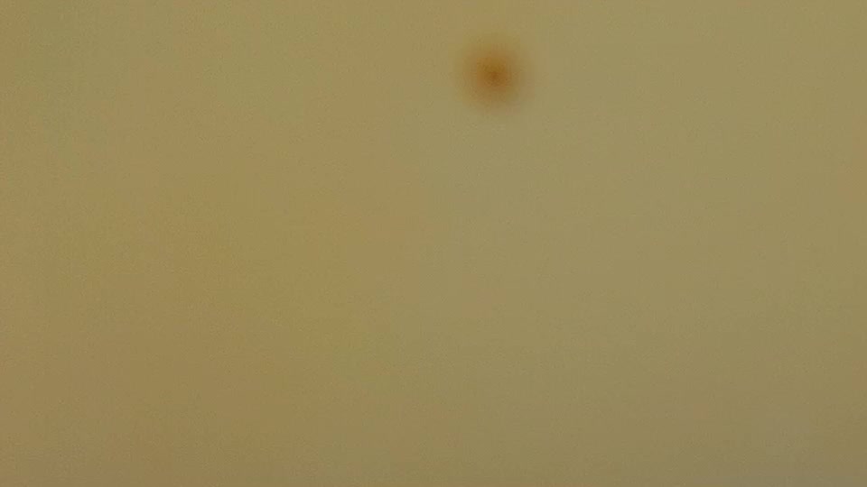 pr1vatecouple Webcam Chat September 8, 2026