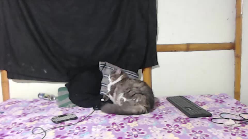 miahells Webcam Chat September 8, 2026