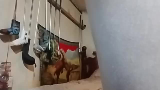 rustyshackelford1902 Webcam Chat September 13, 2026